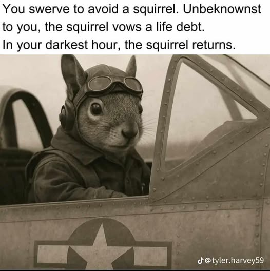 1743807715534.png
