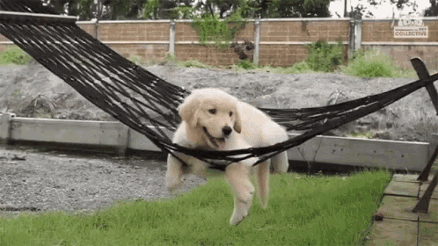 1743881497508.gif