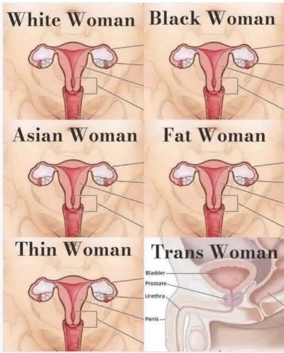 1744158658623.png