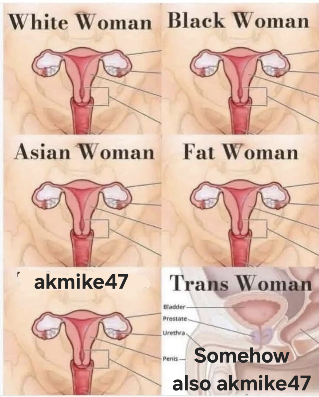 1744158658623.png