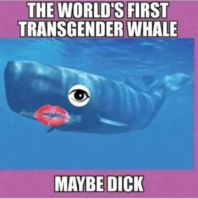1744436347223.png