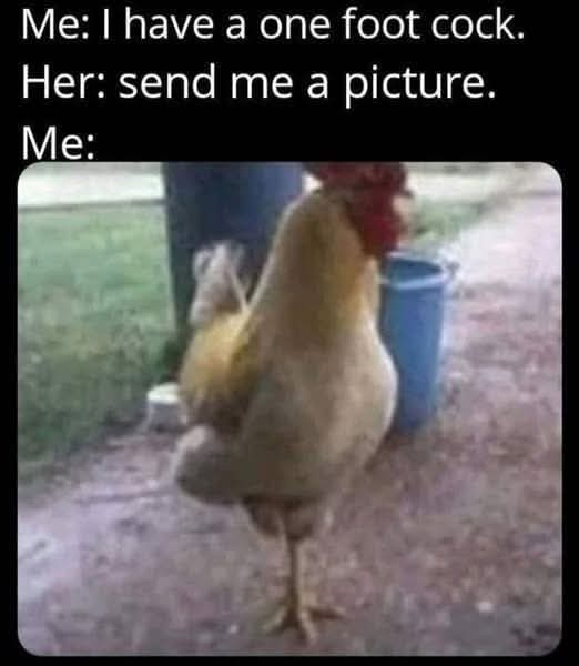 1744650056552.png