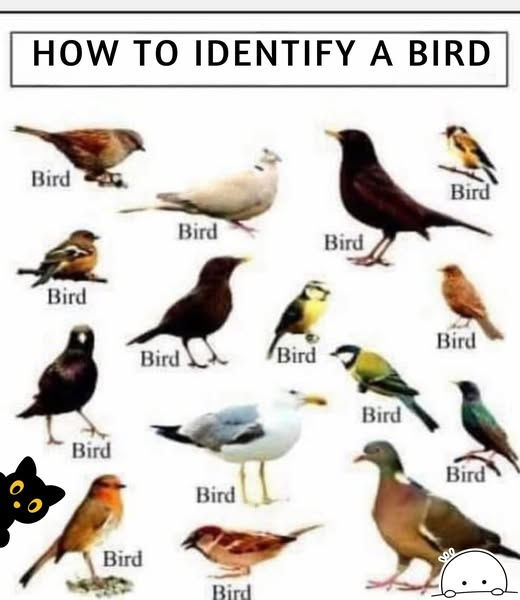 1744761944849.png