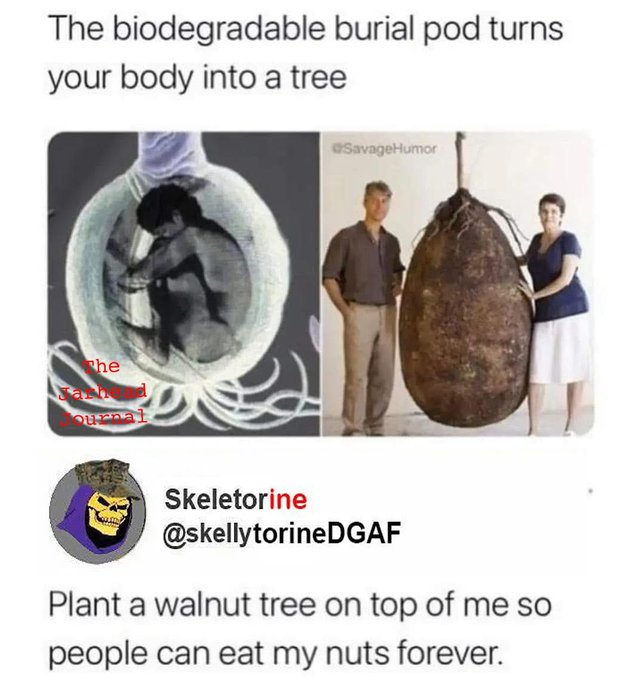 1744939001990.png