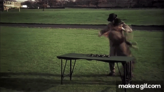 1744999562844.gif