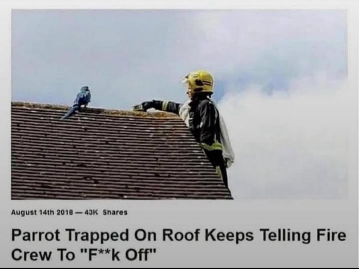 1745087873534.png