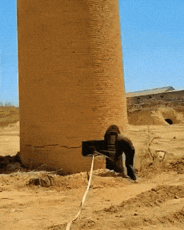 1745116242871.gif