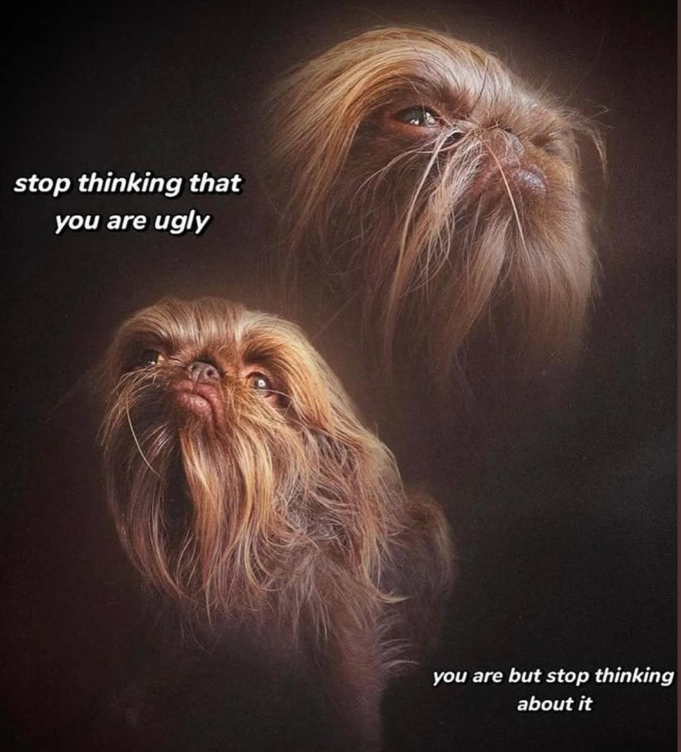 1745272749925.png