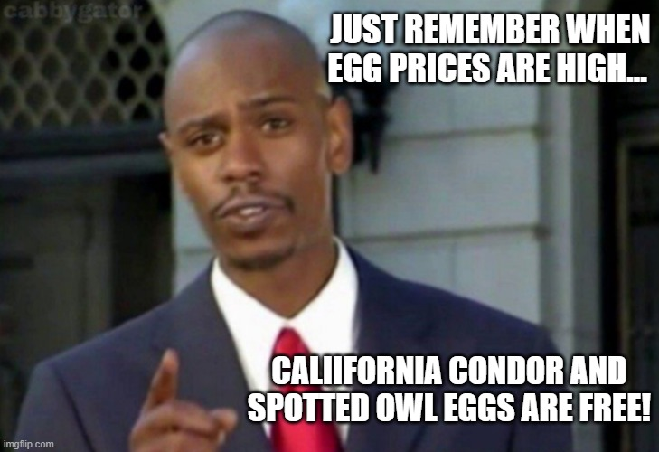 1745708110601.png