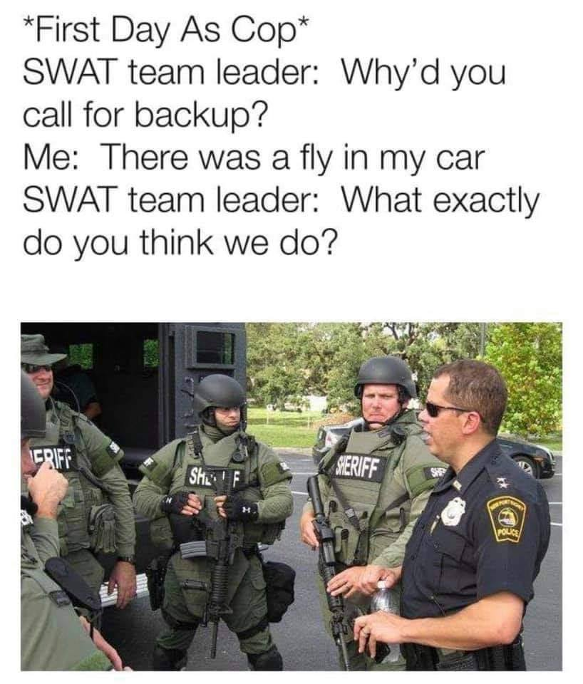 1746053204796.png
