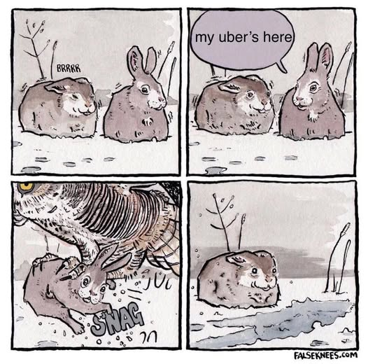 1746305922618.png