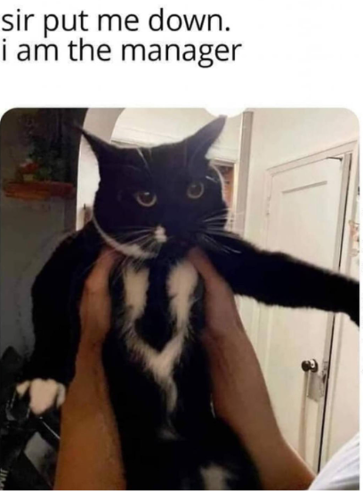 1746313780984.png