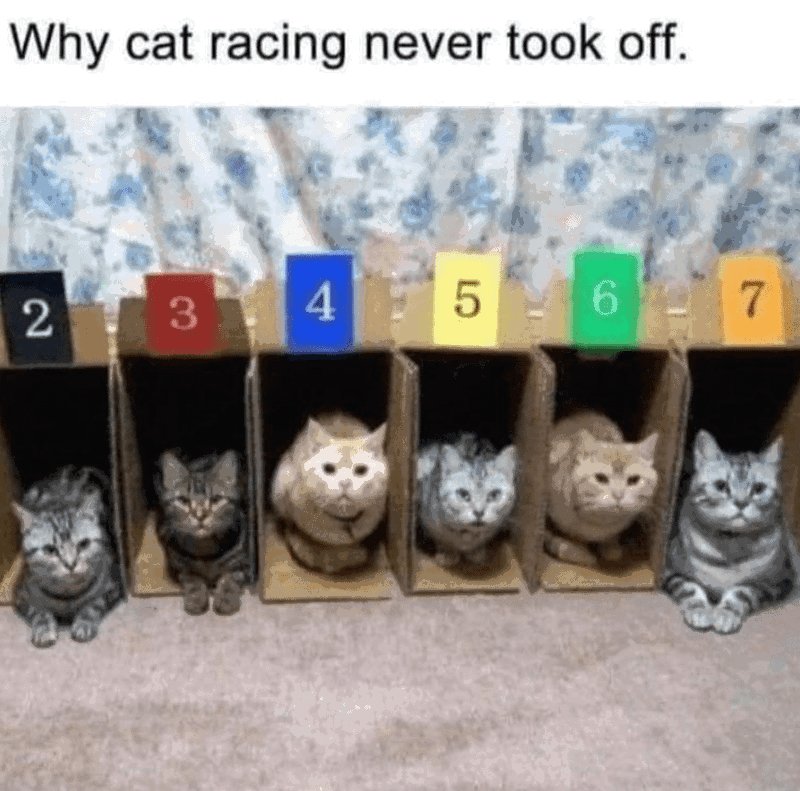 1746355515936.jpeg