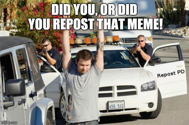 1746481436344.jpeg