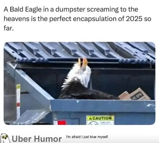 1746485145167.png