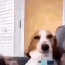 1746493114844.gif