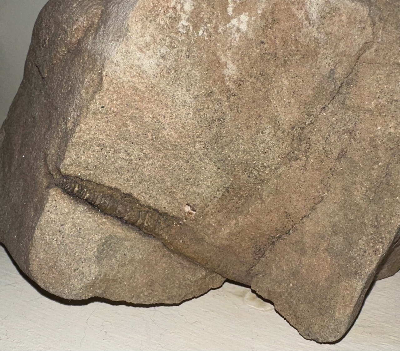 1746572579769.png