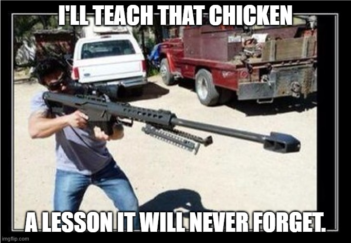 1746644020613.png
