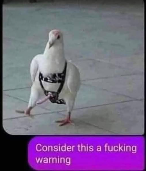 1746683283902.png