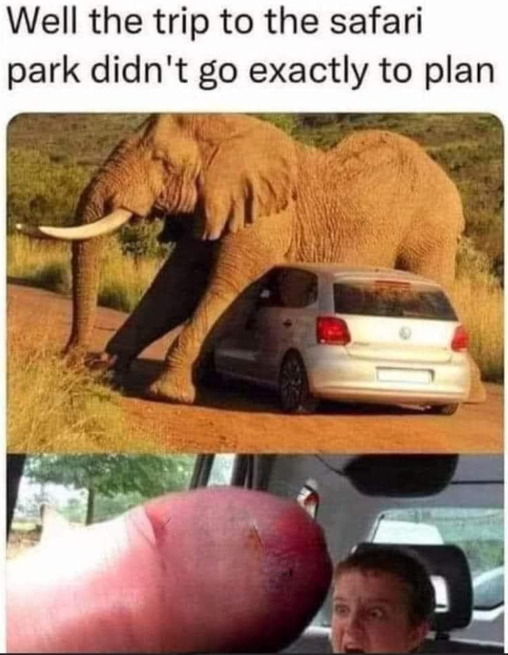 1746718129690.png