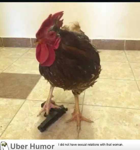 1746758239414.png