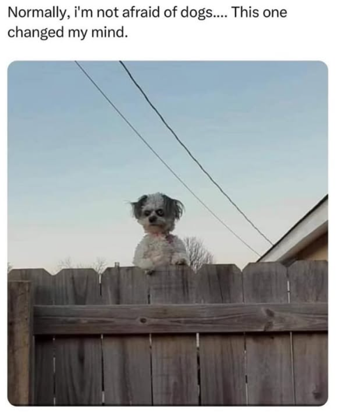 1747141138696.png