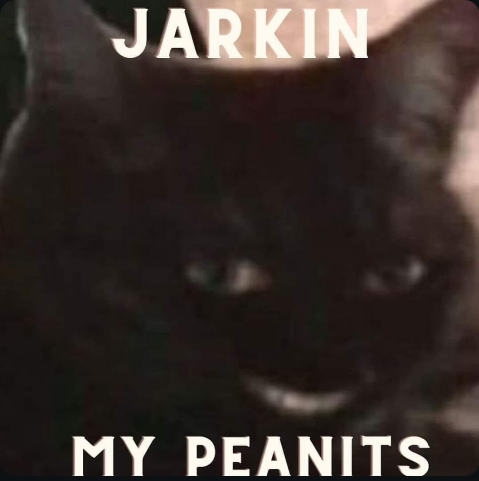 1747198307636.png