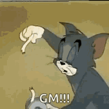 1747238476569.gif