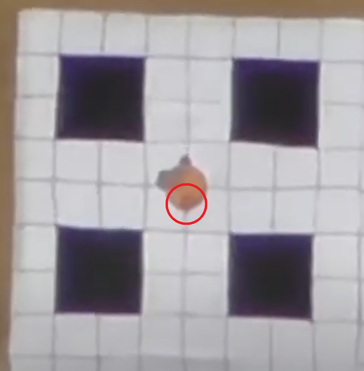 1747309493048.png