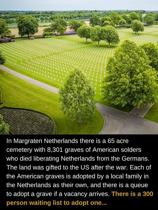 1747319129569.png