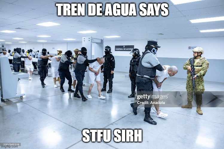 1747361726917.png