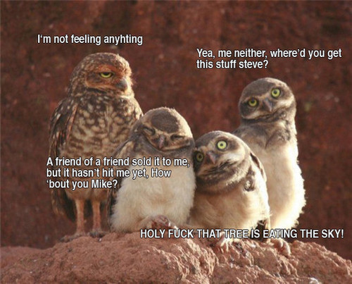 1747372197169.png