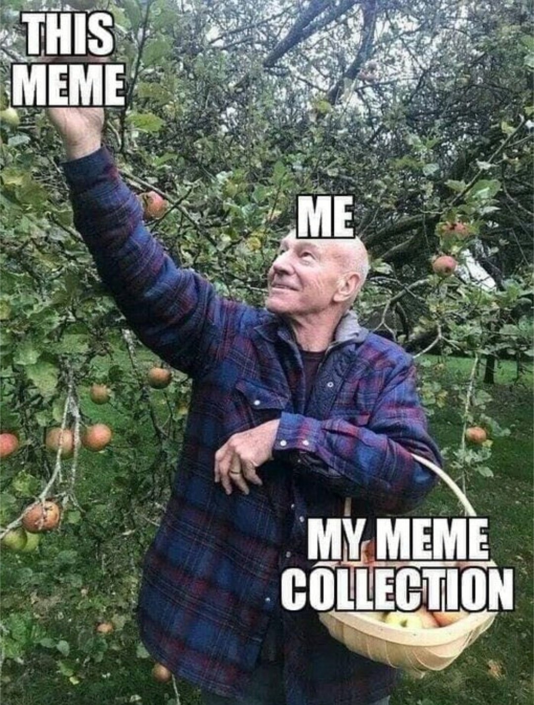 1747444242669.jpeg