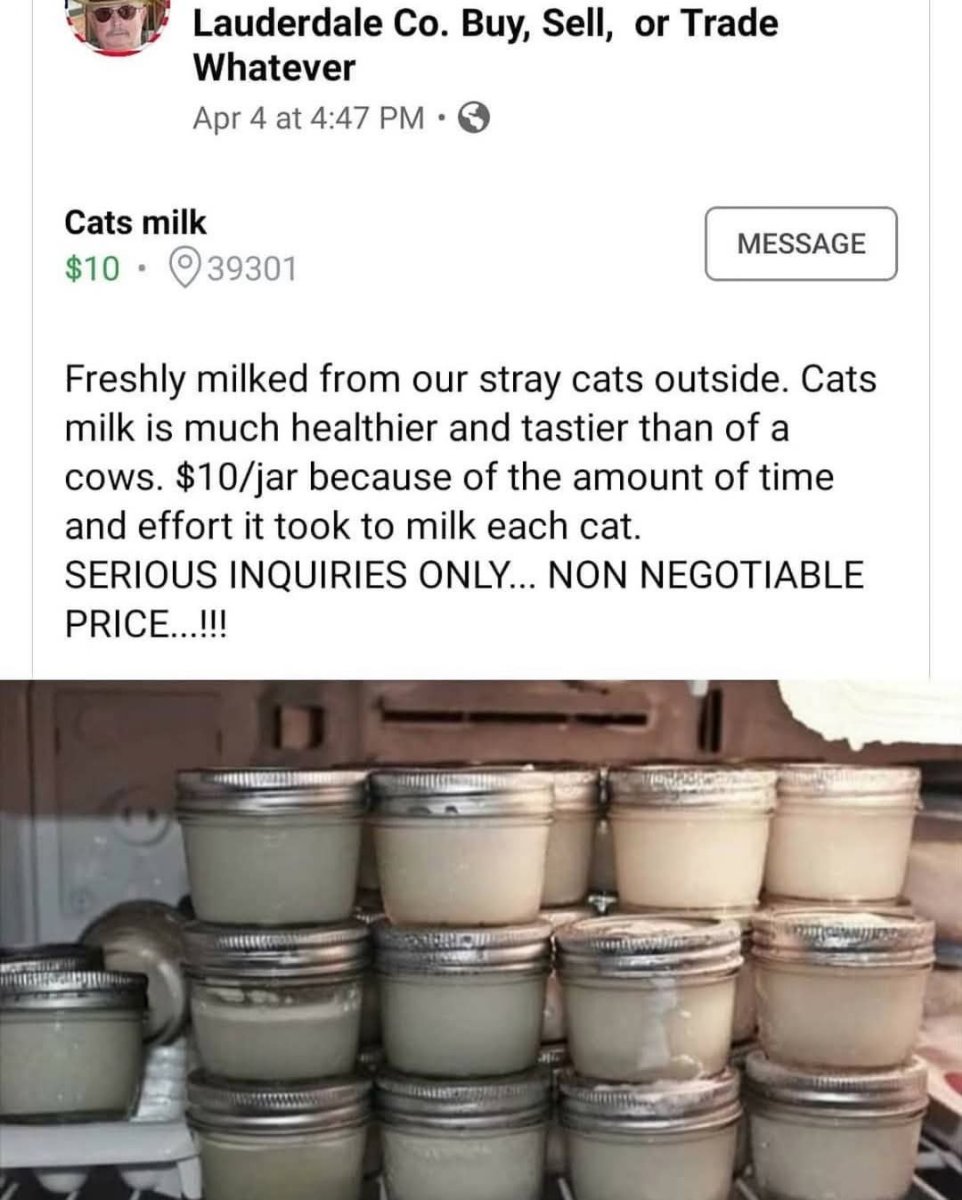 1747478688660.jpeg