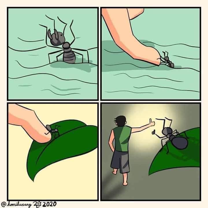 1747480236638.jpeg