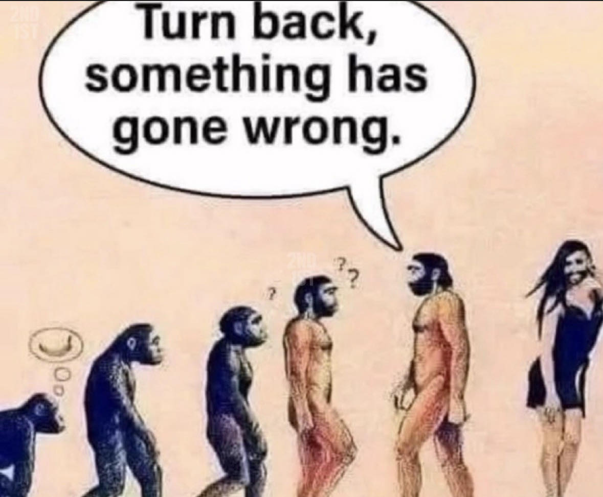 1747487199543.png