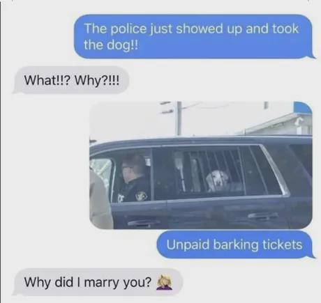 1747540174308.jpeg