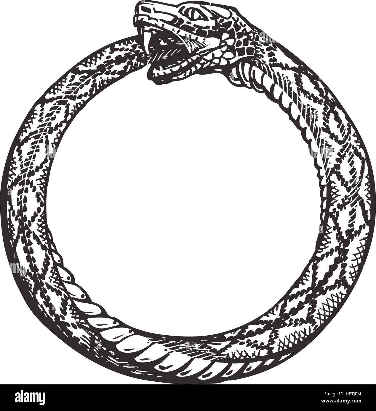 1747613477491.png