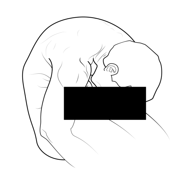 1747613908190.png