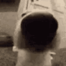 1747678460749.gif