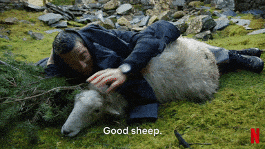 1747717208556.gif