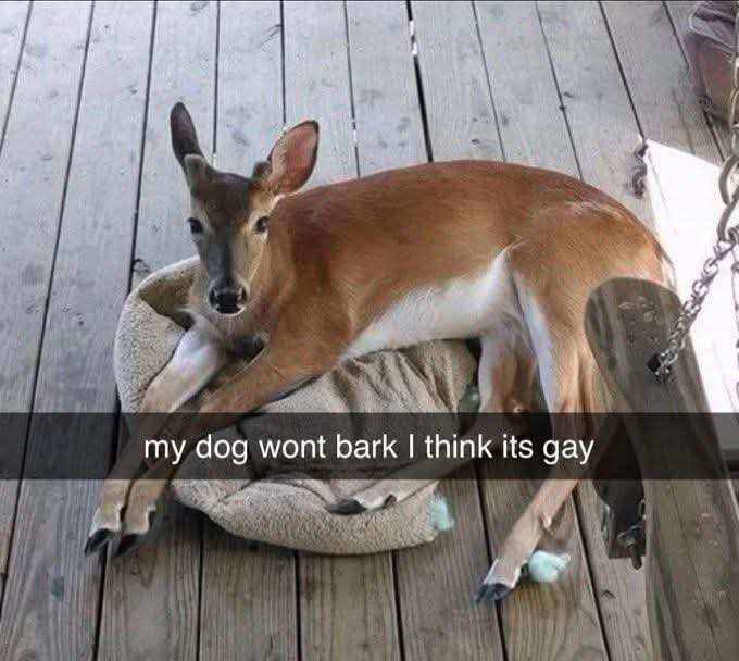 1747770137857.png