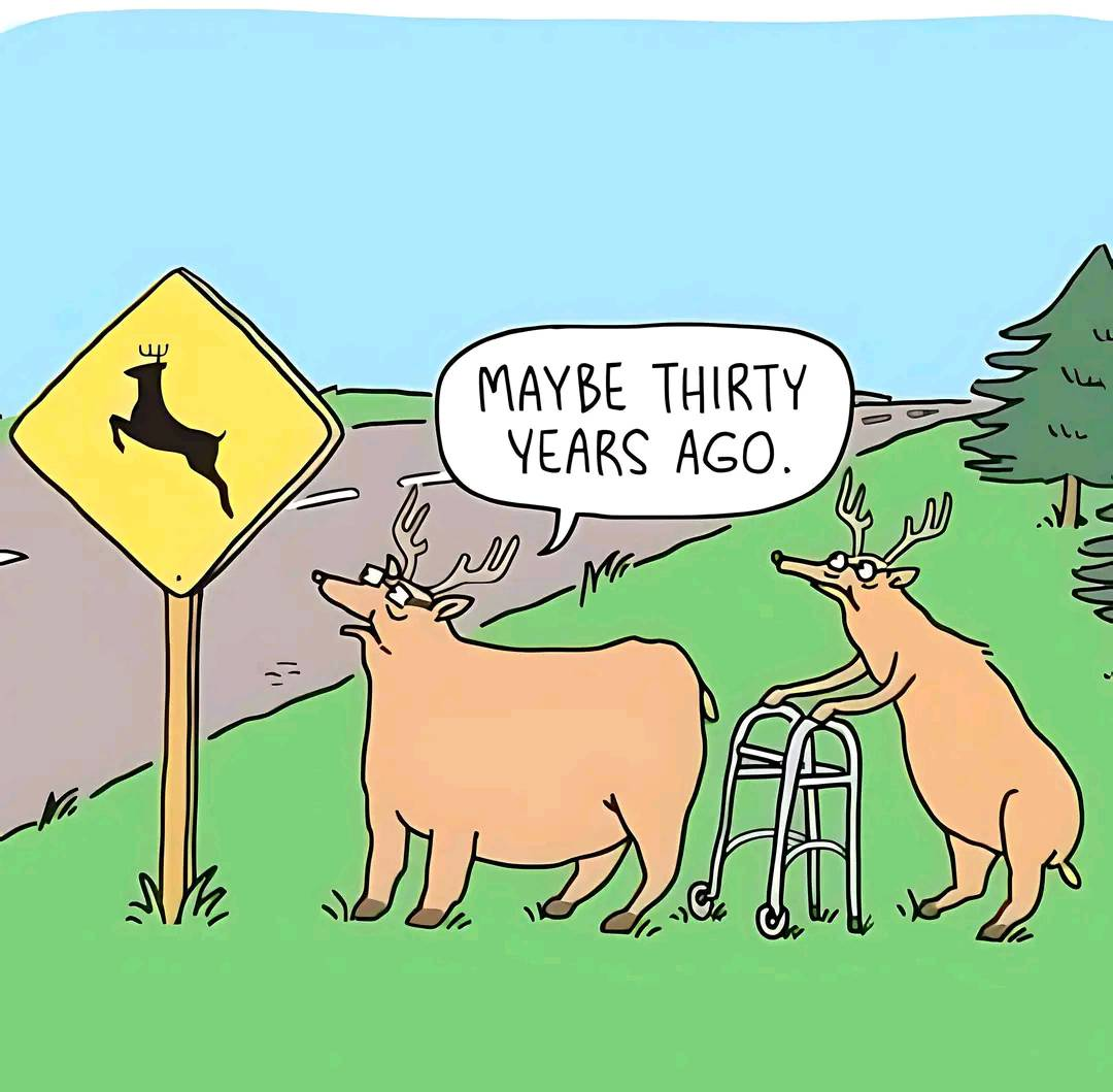 1747794511934.png