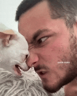1748379010839.gif