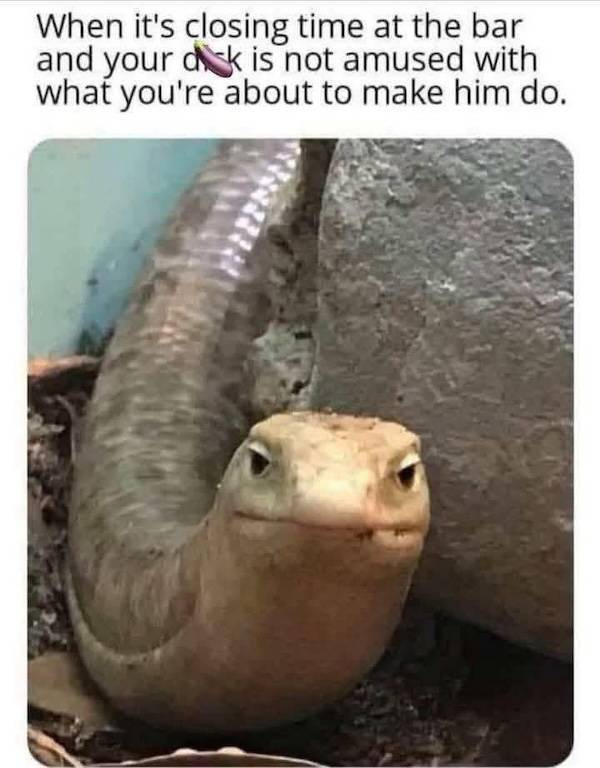 1748522994019.png