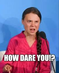 Greta Thunberg how dare you Meme ...