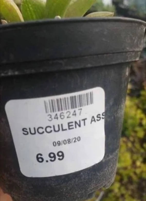 1748736047388.png