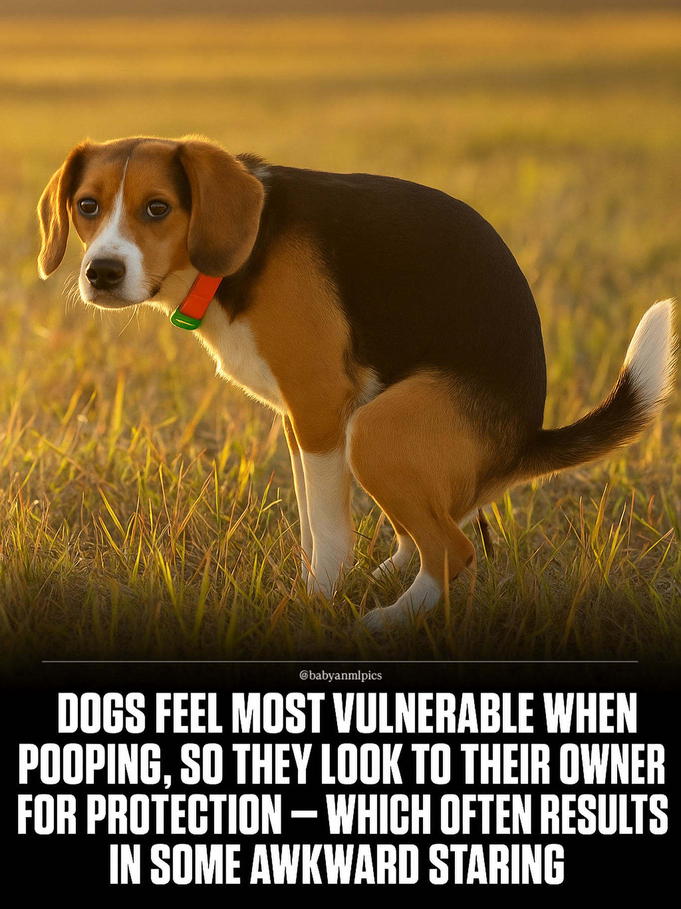1749063668921.png