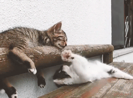 1749170965440.gif