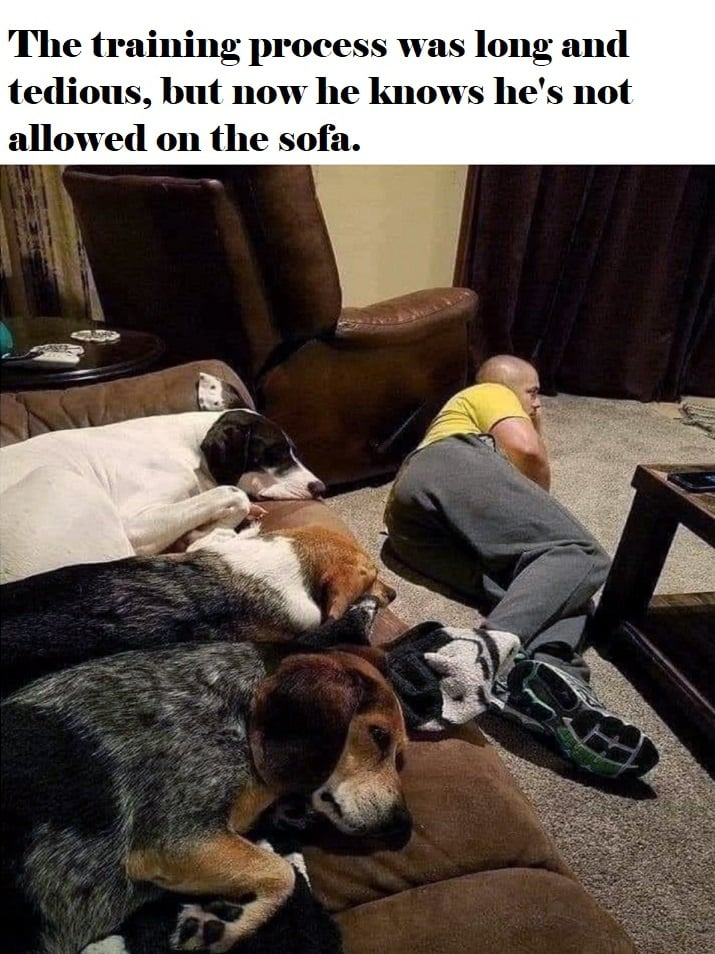 1749241843948.png